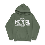 I Was Normal A Few Kids Ago Hoodie