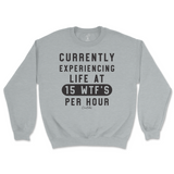 Currently Experiencing Life At 15 WTFs Per Hour Sweatshirt