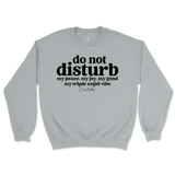 Do Not Disturb Sweatshirt