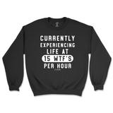 Currently Experiencing Life At 15 WTFs Per Hour Sweatshirt