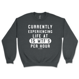 Currently Experiencing Life At 15 WTFs Per Hour Sweatshirt