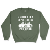 Currently Experiencing Life At 15 WTFs Per Hour Sweatshirt