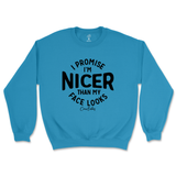 I'm Nicer than my Face Looks Sweatshirt