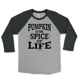 Pumpkin is the Spice of Life Fall Raglan