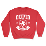 Cupid University Valentine's Day Sweatshirt