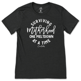 Surviving Motherhood One Meltdown At A Time T-Shirt