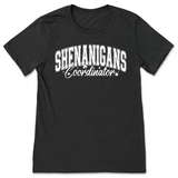 Shenanigans Coordinator Saint Patrick's Day Shirt