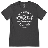 Surviving Motherhood One Meltdown At A Time T-Shirt