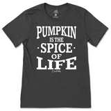 Pumpkin is the Spice of Life Fall T-Shirt