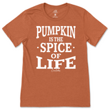 Pumpkin is the Spice of Life Fall T-Shirt