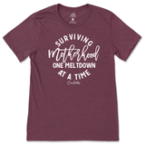 Surviving Motherhood One Meltdown At A Time T-Shirt