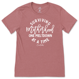 Surviving Motherhood One Meltdown At A Time T-Shirt