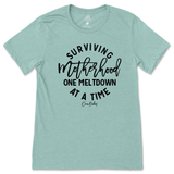 Surviving Motherhood One Meltdown At A Time T-Shirt