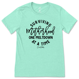 Surviving Motherhood One Meltdown At A Time T-Shirt