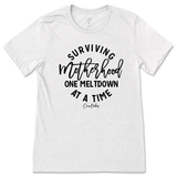 Surviving Motherhood One Meltdown At A Time T-Shirt