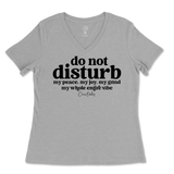 Do Not Disturb Ladies V-Neck T-Shirt