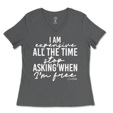 Expensive All The Time Ladies V-Neck T-Shirt